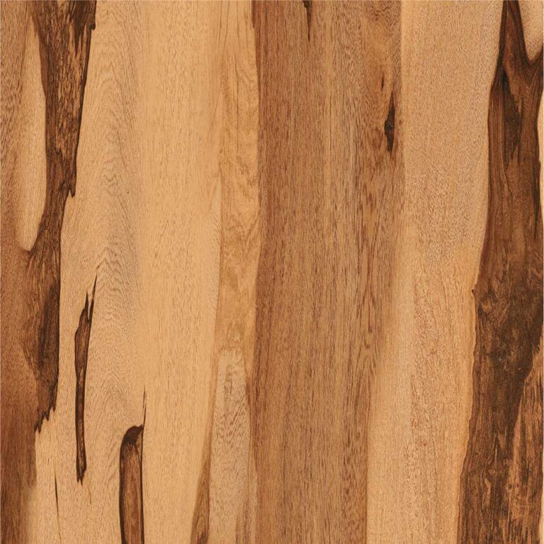 Sequoia Wood - HD Polished